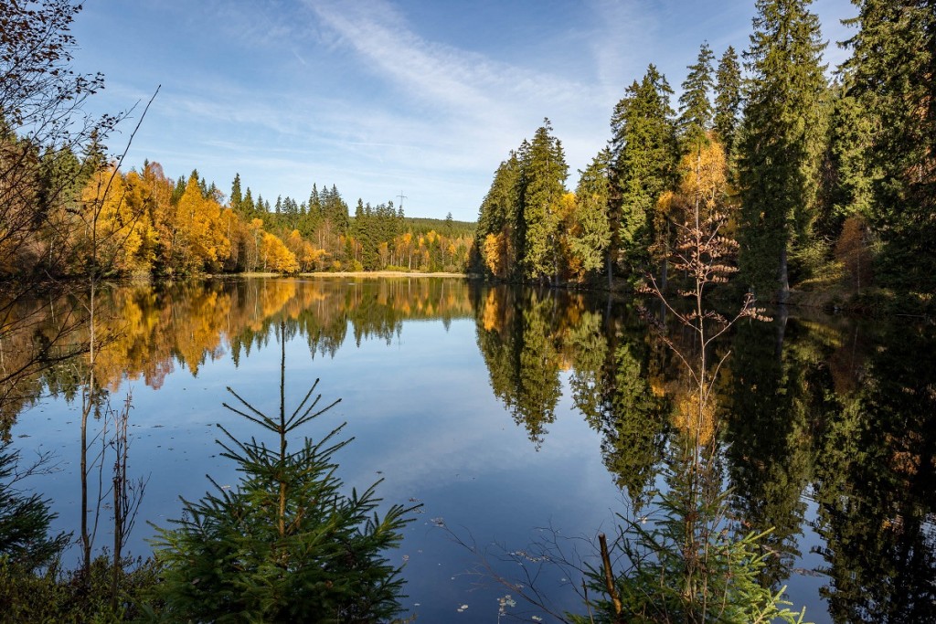 Silberteich am Naturmythenpfad © Andreas Levi - Harz-Bilder.com